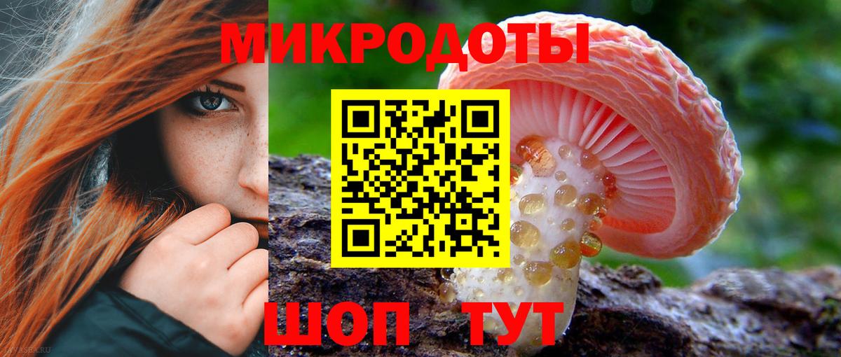Псилоцибиновые грибы мицелий Владимир